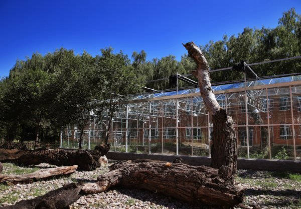 康梦圆国际老年公寓+幸福颐养护理院守护退休安康品质颐养安心相伴 2026北京高端养老院推荐(图4) 康梦圆国际老年公寓+幸福颐养护理院守护退休安康品质颐养安心相伴 2026北京高端养老院推荐(图4)